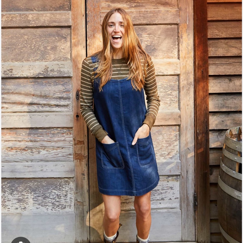 Toad & Co cascadia denim jumper dress